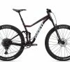 Giant Stance 29 1 2022