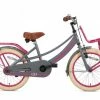 VÉLO ENFANT SUPERSUPER LOLA - FILLES - 18 POUCES - GRIS / ROSE -VÉLOS VTT Soldes Magasin velo enfant supersuper lola filles 18 pouces gris rose 1 600x435 1