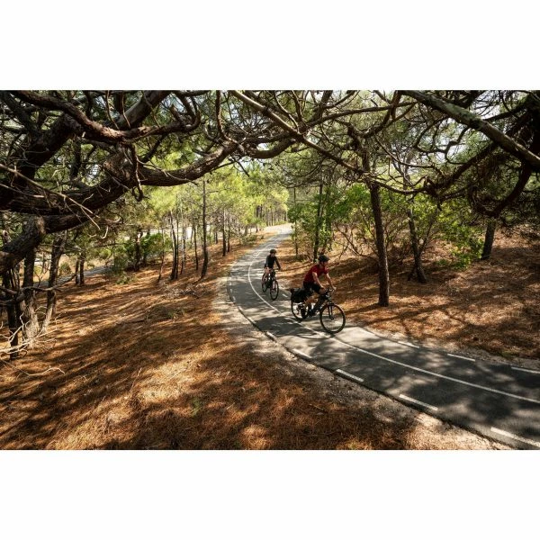 VÉLO TOUT CHEMIN ELECTRIQUE RIVERSIDE 540 E BLEU (BATTERIE NOIRE) 18 VÉLO TOUT CHEMIN ELECTRIQUE RIVERSIDE 540 E BLEU (BATTERIE NOIRE) – Image 17